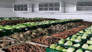 camara de refrigeracion para verduras