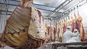 camara frigorifica para carniceria