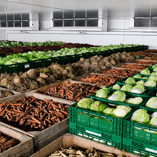 camaras refrigeracion para alimentos